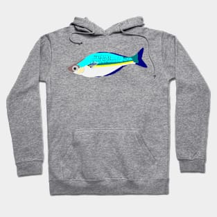 Bosemans Rainbowfish Hoodie